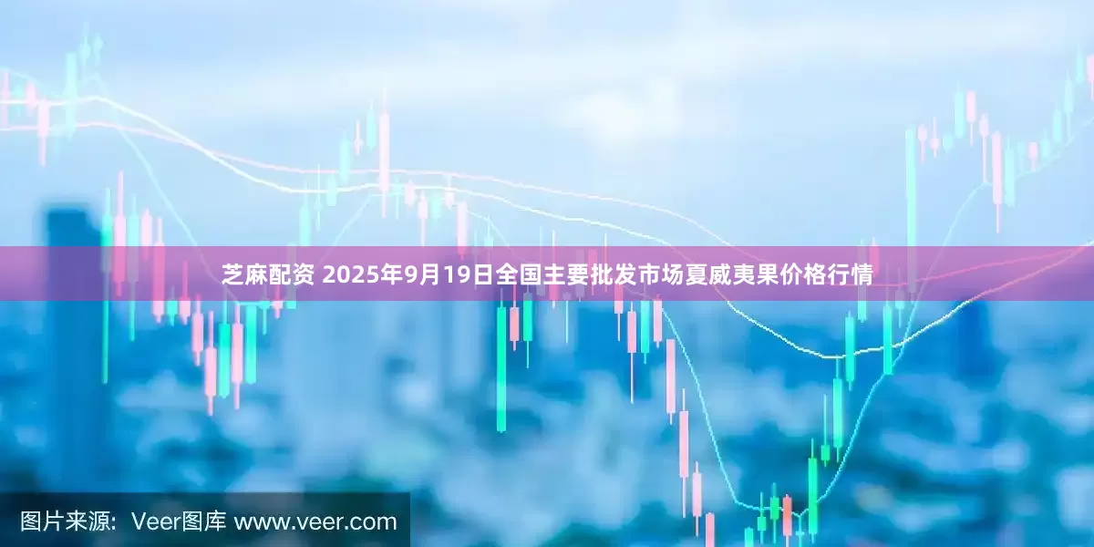 芝麻配资 2025年9月19日全国主要批发市场夏威夷果价格行情