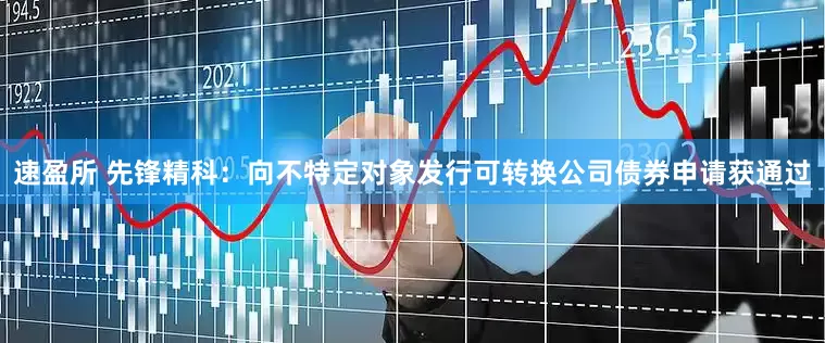 速盈所 先锋精科：向不特定对象发行可转换公司债券申请获通过